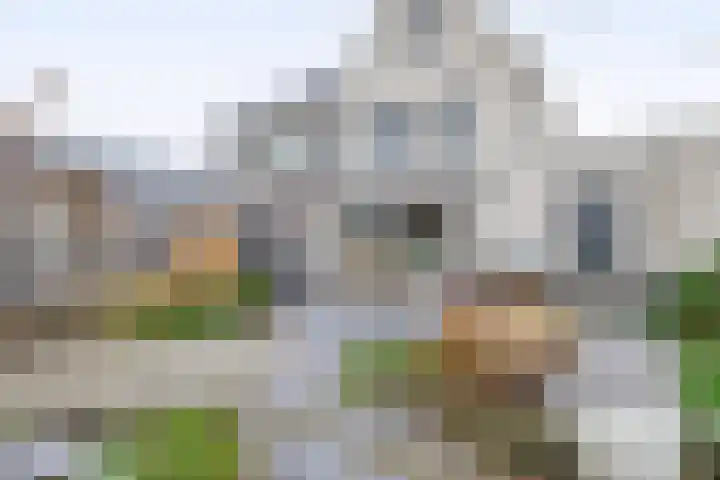 Bever 33 's-Gravenzande thumbnail 27