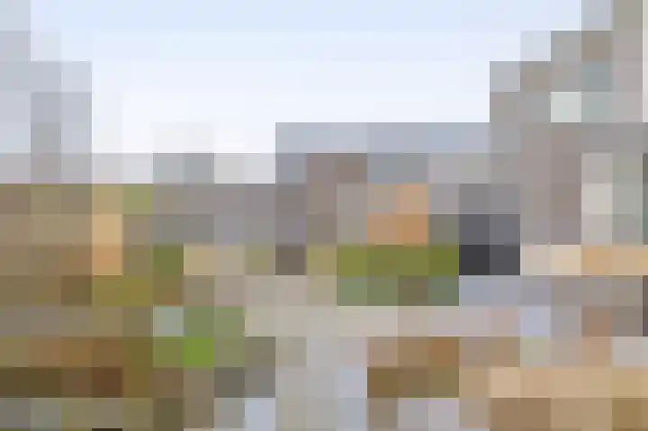Bever 33 's-Gravenzande thumbnail 28