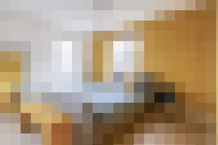 Bever 33 's-Gravenzande thumbnail 32