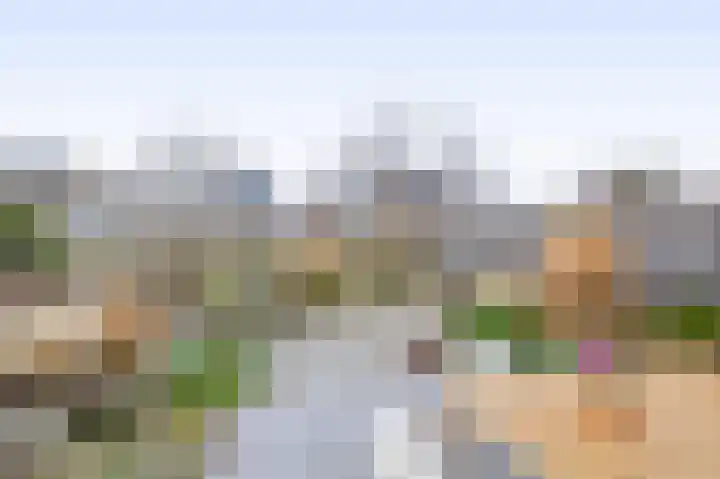 Bever 33 's-Gravenzande thumbnail 4