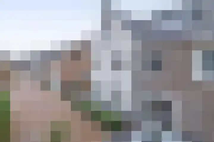 Bever 33 's-Gravenzande thumbnail 47