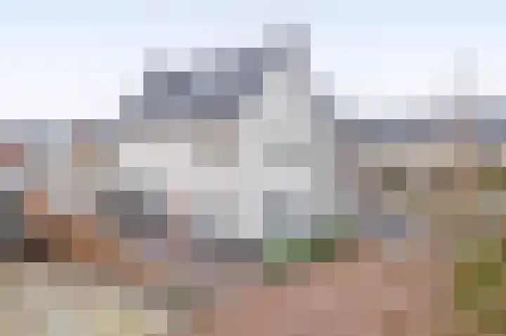 Bever 33 's-Gravenzande thumbnail 48