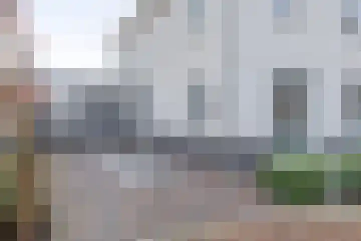 Bever 33 's-Gravenzande thumbnail 49