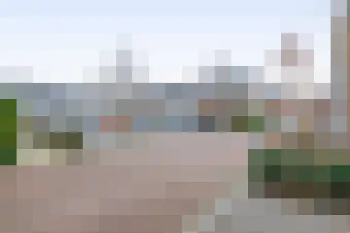 Bever 33 's-Gravenzande thumbnail 50