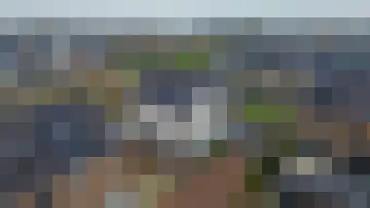 Bever 33 's-Gravenzande thumbnail 51