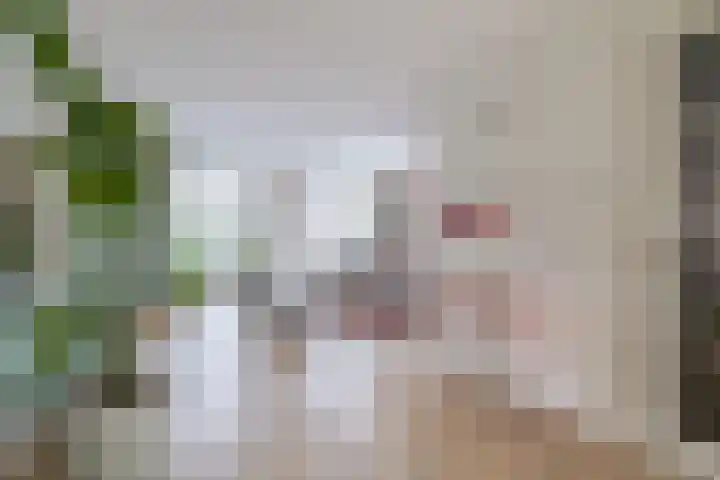 Bever 33 's-Gravenzande thumbnail 8