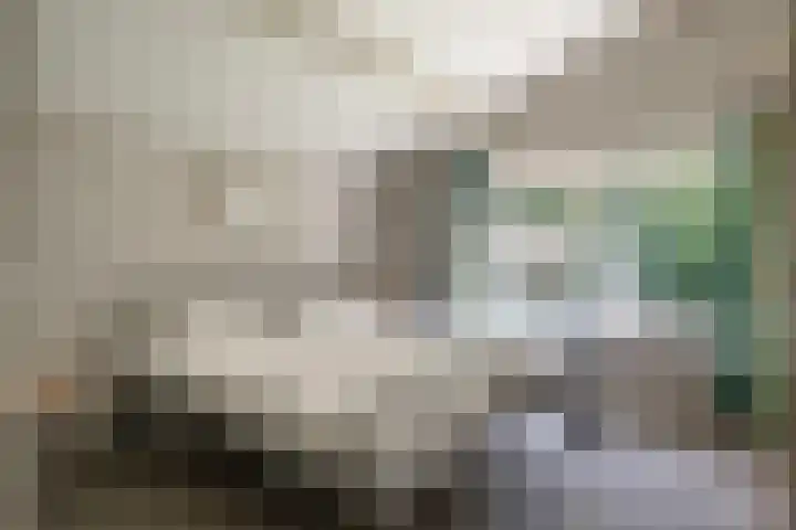 Beverborgsweg 10 Beuningen thumbnail 17