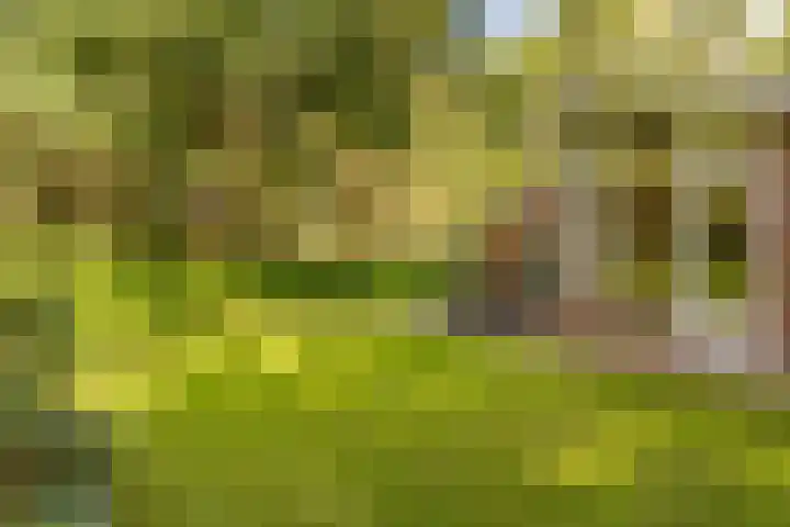 Beverborgsweg 10 Beuningen thumbnail 21