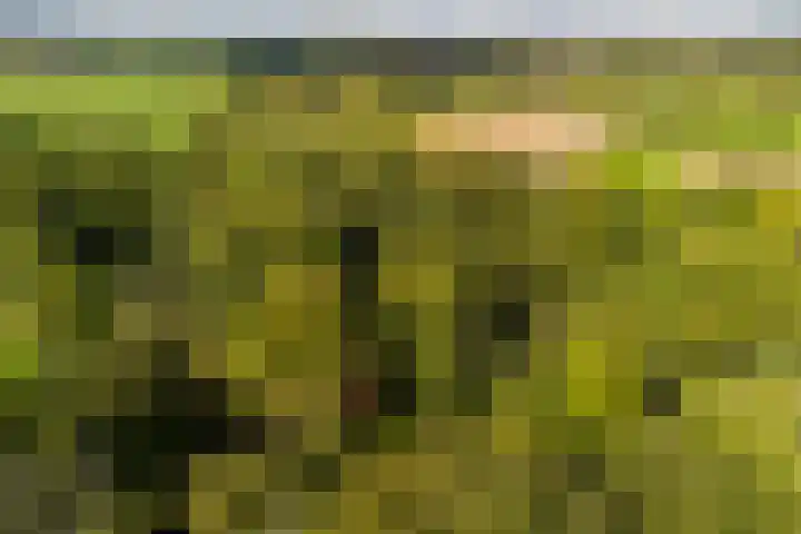 Beverborgsweg 10 Beuningen thumbnail 24