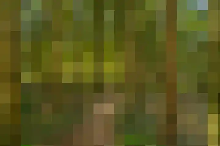 Beverborgsweg 10 Beuningen thumbnail 26