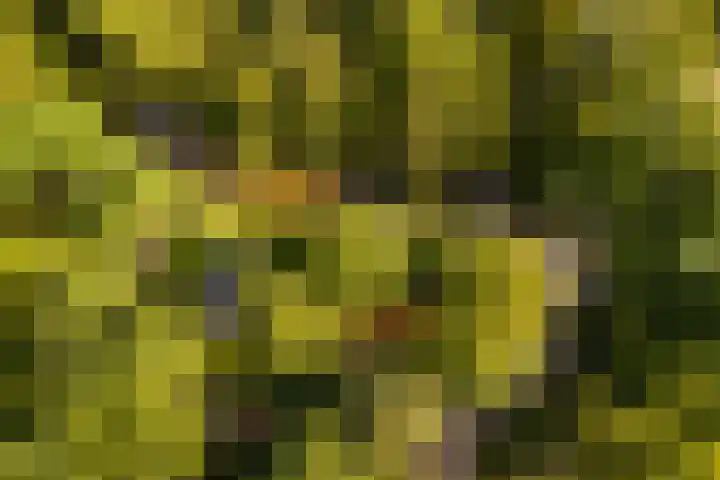 Beverborgsweg 10 Beuningen thumbnail 5