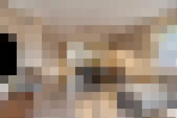 Beverdijk 27 Gemert thumbnail 10