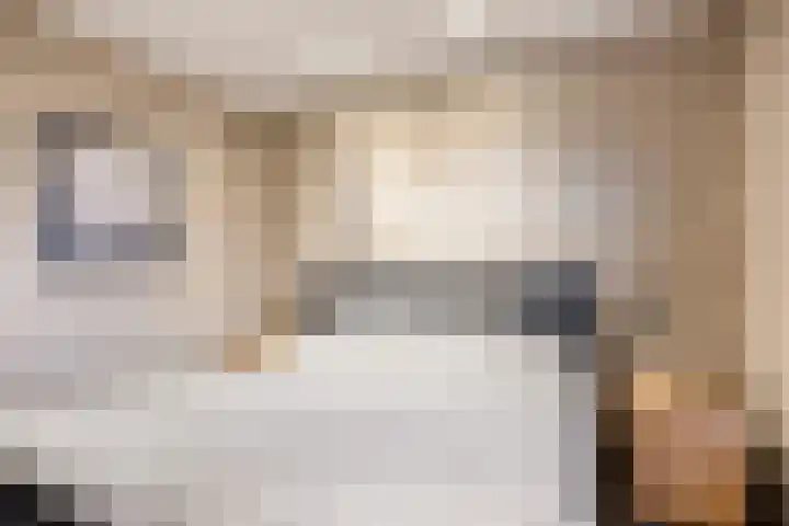 Beverdijk 27 Gemert thumbnail 14