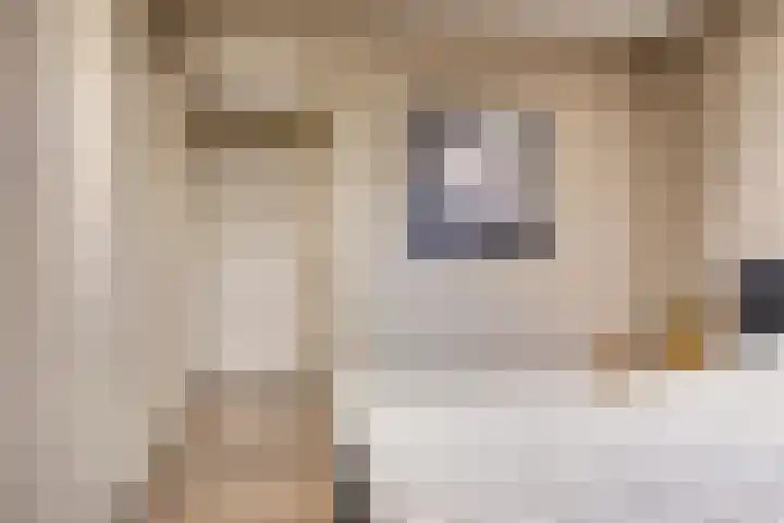 Beverdijk 27 Gemert thumbnail 15