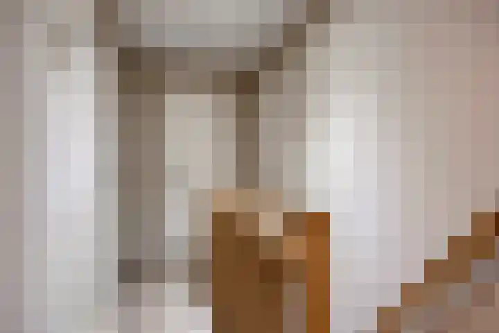 Beverdijk 27 Gemert thumbnail 20