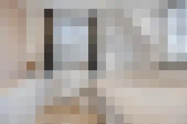 Beverdijk 27 Gemert thumbnail 22