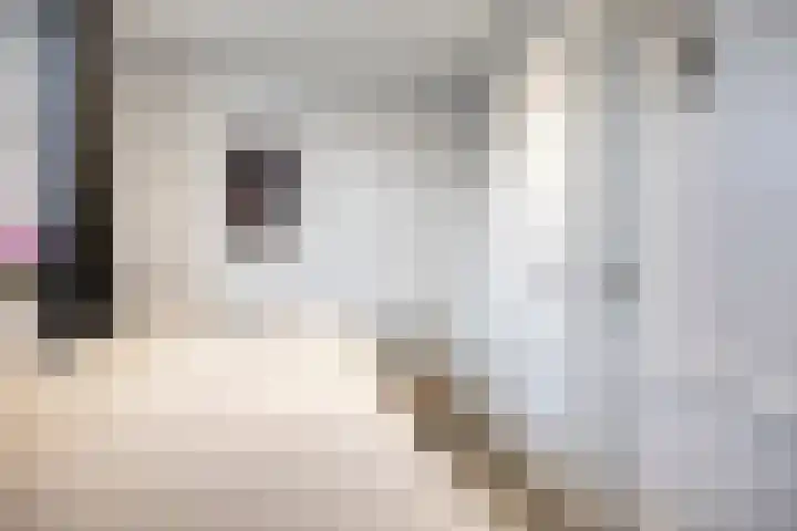 Beverdijk 27 Gemert thumbnail 24