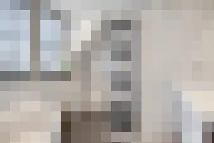 Beverdijk 27 Gemert thumbnail 25