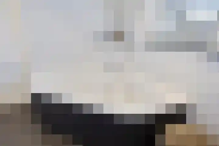 Beverdijk 27 Gemert thumbnail 26