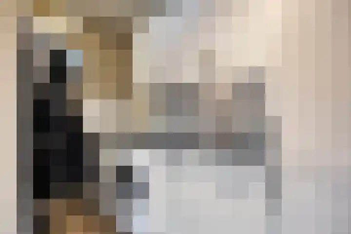Beverdijk 27 Gemert thumbnail 31