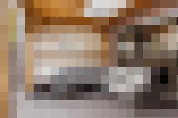 Beverdijk 27 Gemert thumbnail 35