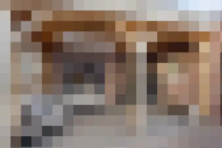 Beverdijk 27 Gemert thumbnail 36