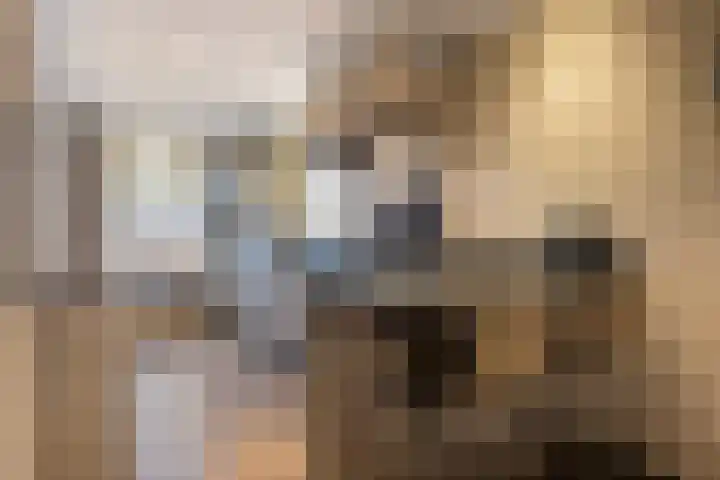 Beverdijk 27 Gemert thumbnail 4