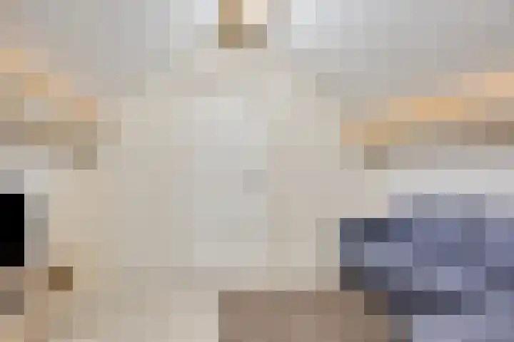 Beverdijk 27 Gemert thumbnail 42