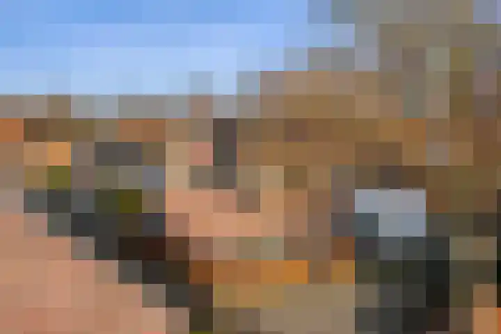 Beverdijk 27 Gemert thumbnail 44