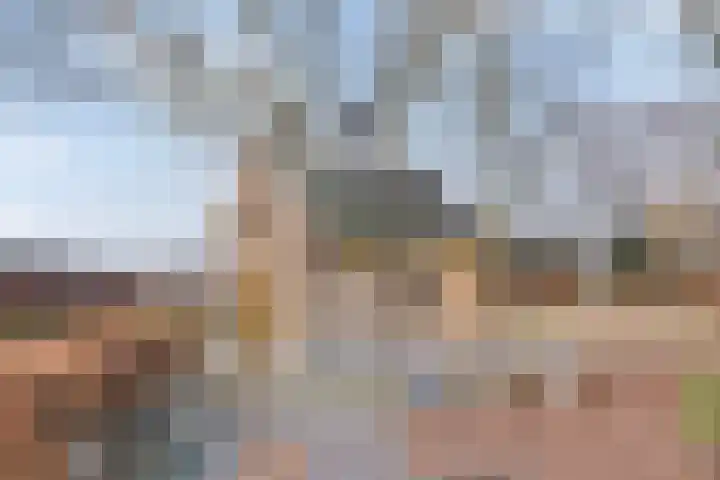 Beverdijk 27 Gemert thumbnail 45