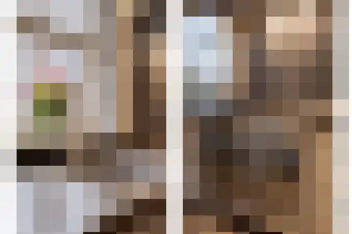 Beverdijk 27 Gemert thumbnail 6