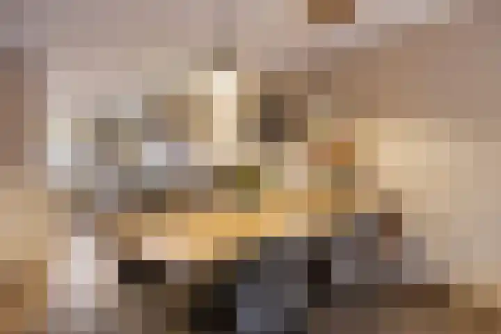 Beverdijk 27 Gemert thumbnail 7