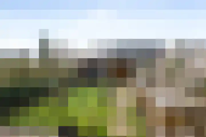 Beverhoeve 9 Leusden thumbnail 10