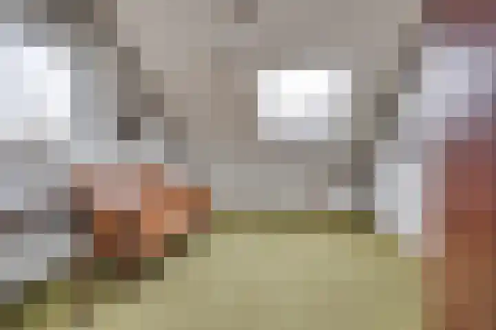 Beverhoeve 9 Leusden thumbnail 27