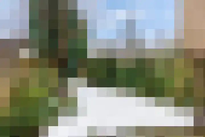 Beverhoeve 9 Leusden thumbnail 29