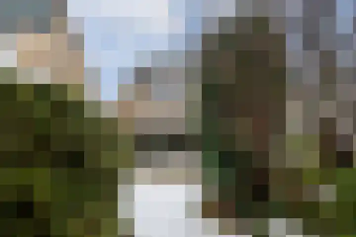 Beverhoeve 9 Leusden thumbnail 30