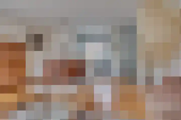 Beverhoeve 9 Leusden thumbnail 7