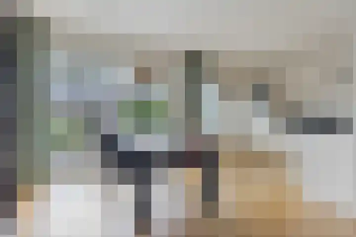 Beverloweg 85 Eindhoven thumbnail 10