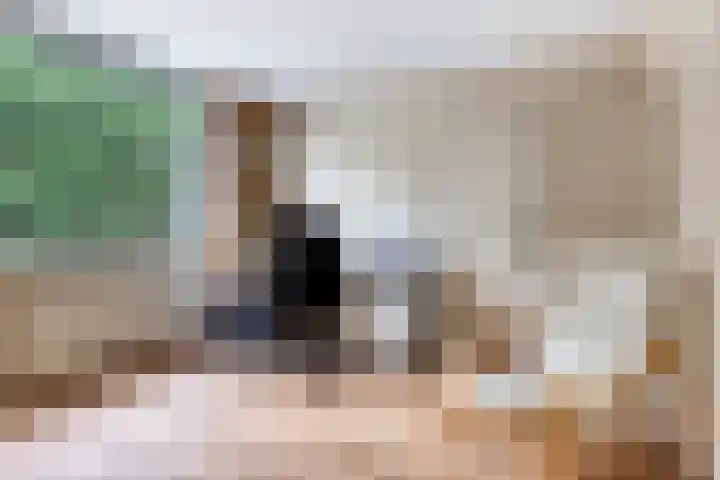 Beverloweg 85 Eindhoven thumbnail 18