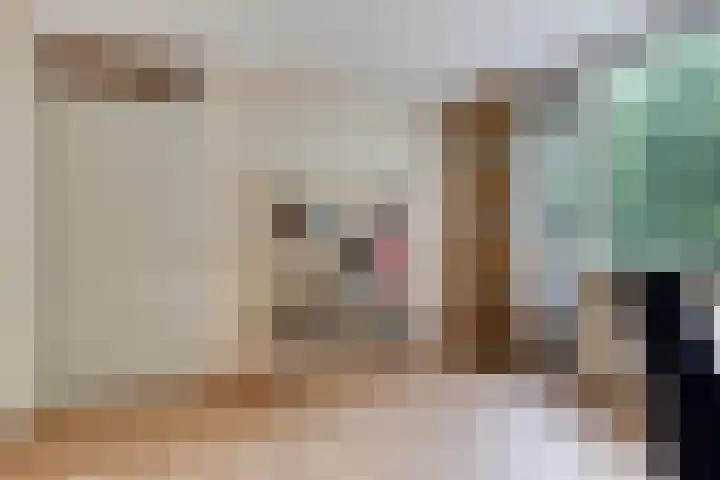 Beverloweg 85 Eindhoven thumbnail 19