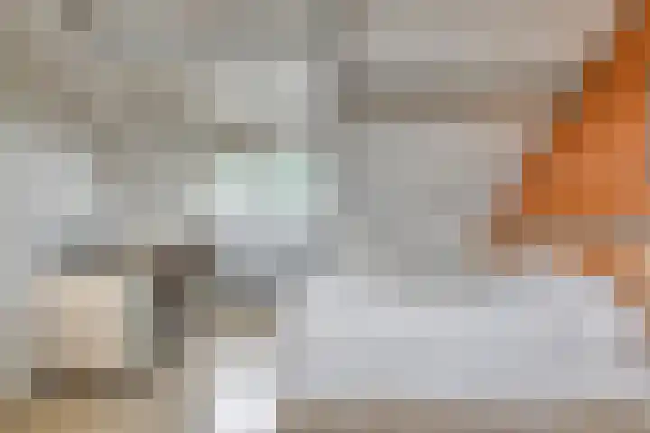 Beverloweg 85 Eindhoven thumbnail 24