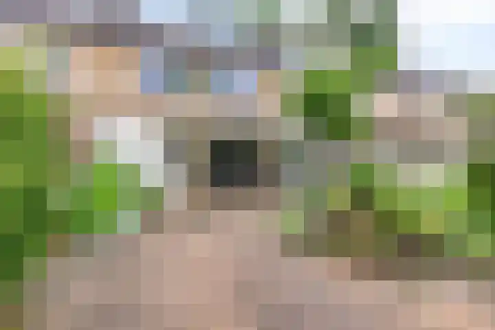 Beverloweg 85 Eindhoven thumbnail 30