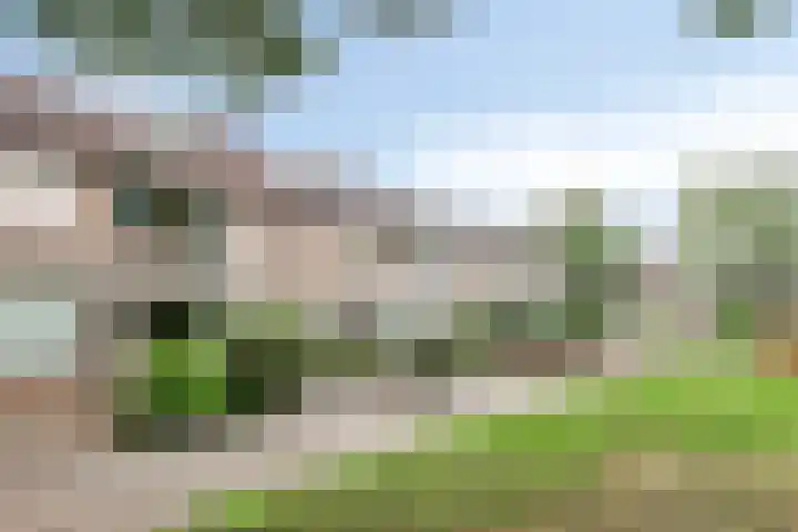 Beverloweg 85 Eindhoven thumbnail 34