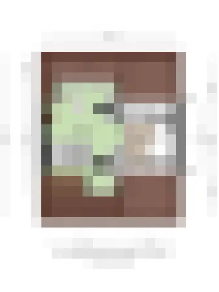 Beverloweg 85 Eindhoven thumbnail 38