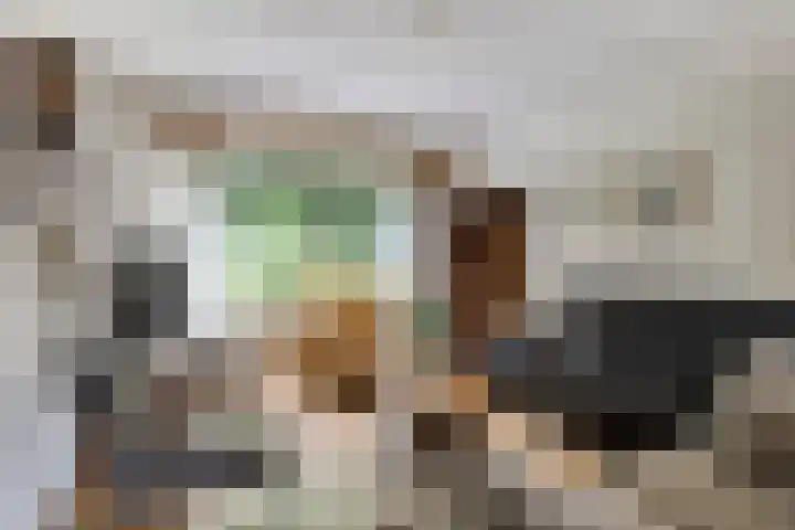Beverloweg 85 Eindhoven thumbnail 8