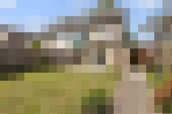 Beverodelaan 30 Dieren thumbnail 16