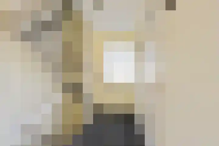 Beverodelaan 30 Dieren thumbnail 26
