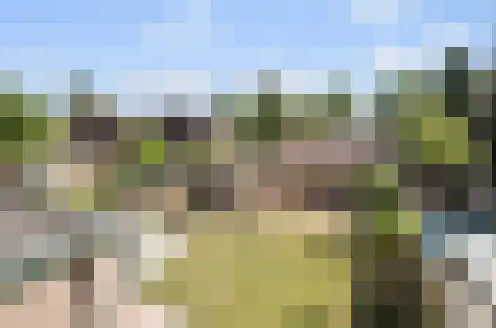 Beverodelaan 30 Dieren thumbnail 33