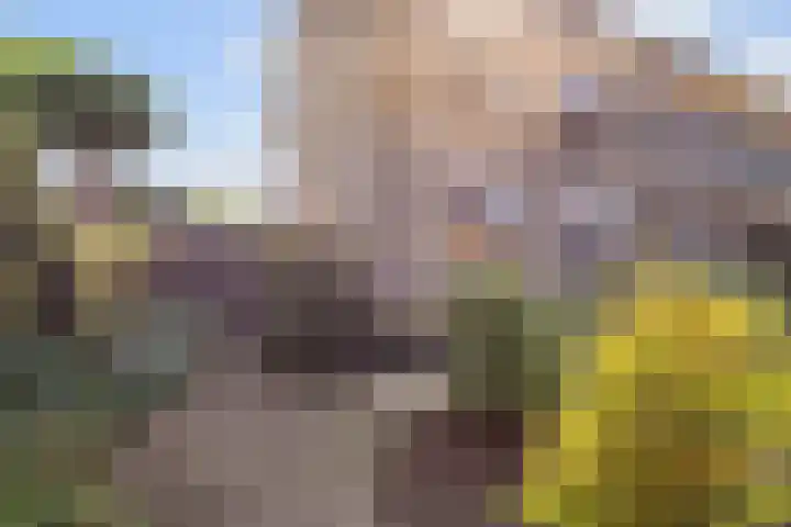 Beverodelaan 30 Dieren thumbnail 4