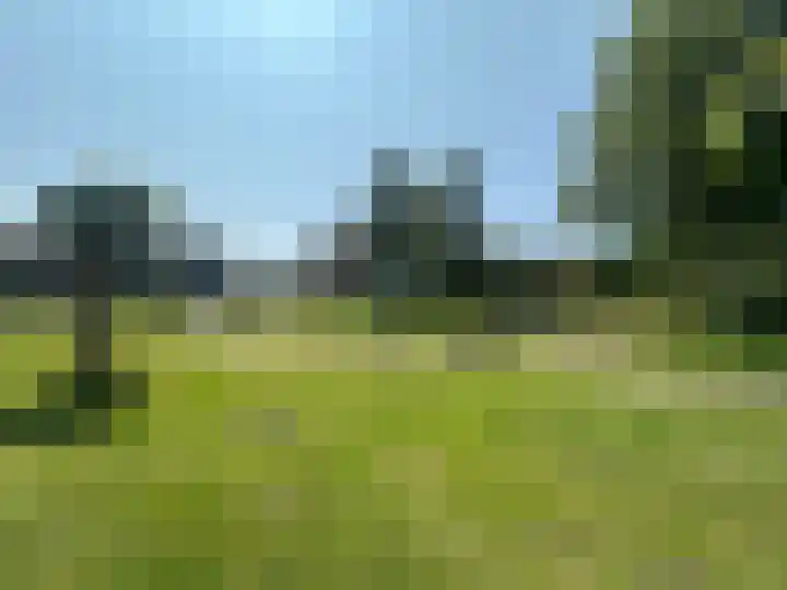 Beverodelaan 30 Dieren thumbnail 45